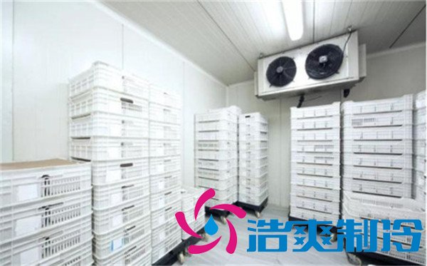 上海速冻包子/水饺冷库（-30℃）