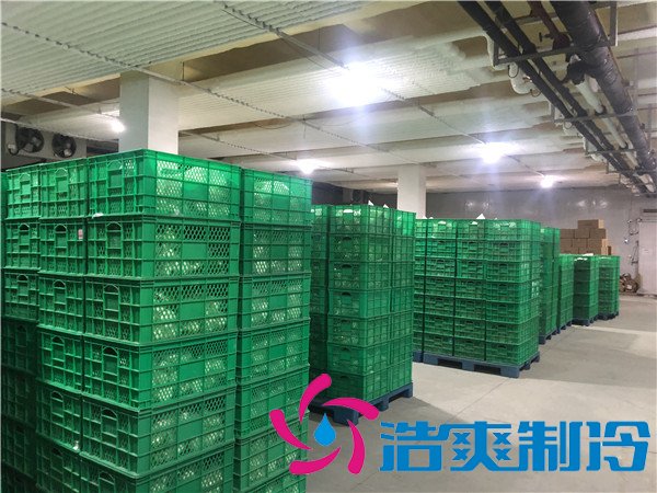 上海速冻包子/水饺冷库（-30℃）