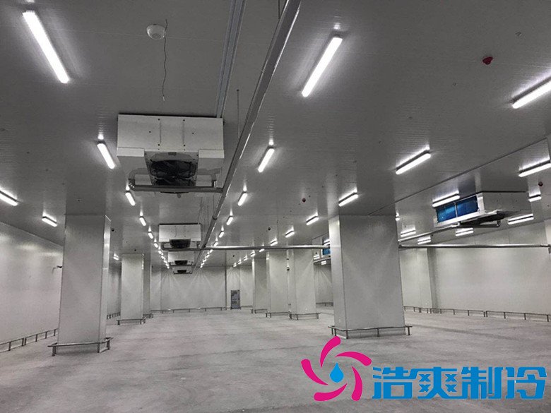 港口冷链冷库市场趋势和现状，万吨港口冷链低温仓储造价预算