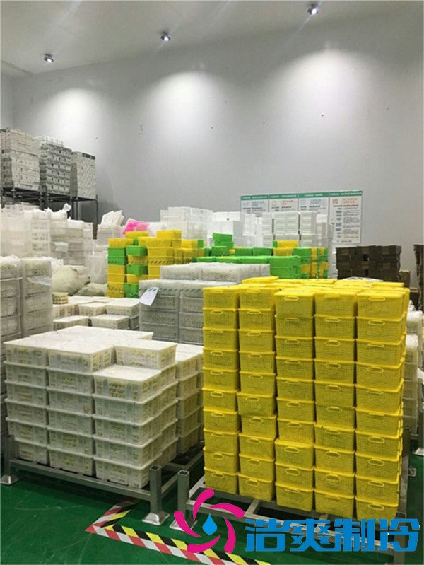 一万平果蔬农产品物流冷库