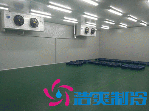 2-8℃生物GSP医药库