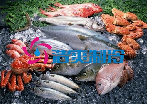 浩爽制冷，海鲜冷冻库、食品冷冻库