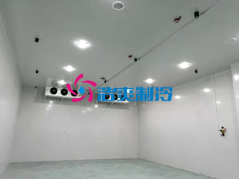 浩爽制冷，巧克力冷藏库